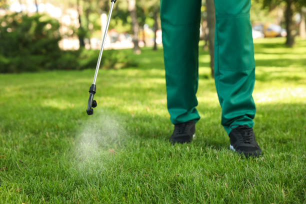 Professional Pest Control in Escondido, CA